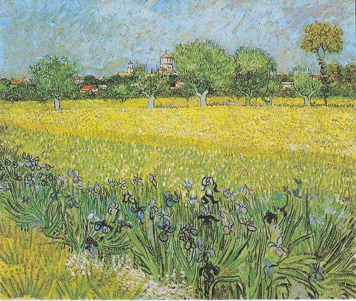Vincent Van Gogh View of Arles with irises in the foreground oil painting image